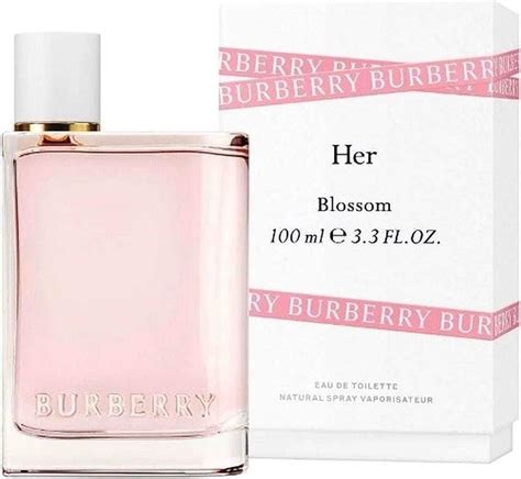 burberry her modelo